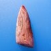 Crazy Lace Agate Cabochon