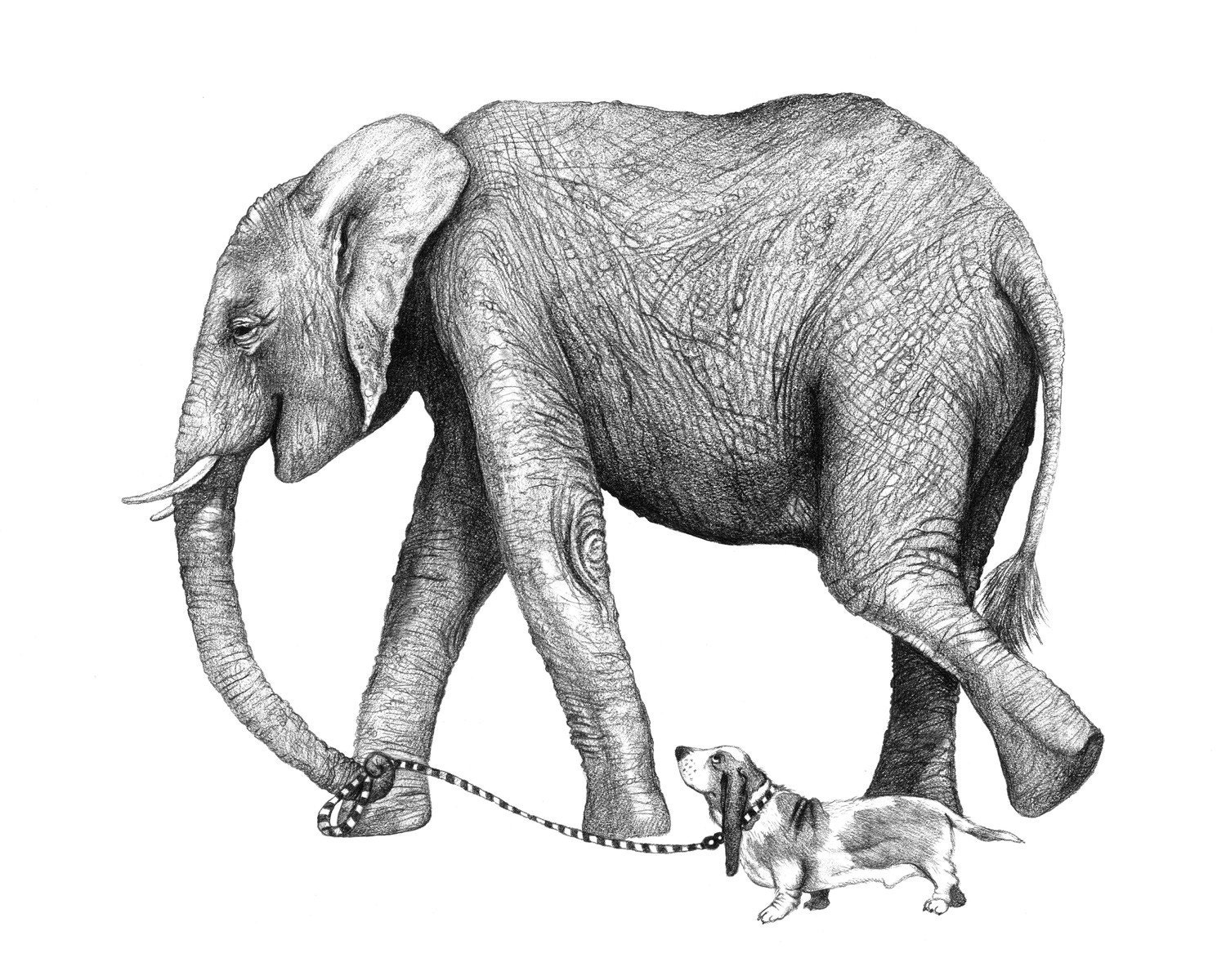 8x10 Giclee Print Elephant and Dog Pencil Illustration