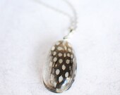 Feather pendant - boho chic spotted black and white feather - natural history