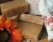 Pumpkin Handmade Soap