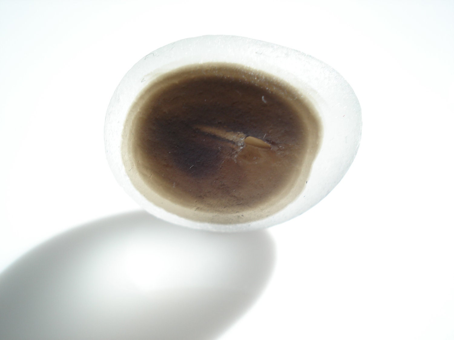 Sea Glass Multi fish eye in shades of brown - Perfect -  from Seaham beach E0649