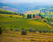 Italy photography - Tuscany landscape - vineyard - Fine art travel photography - How Can I Keep from Singing