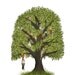 The climbing tree - Largest size (A3, 11.7" x 16.5")