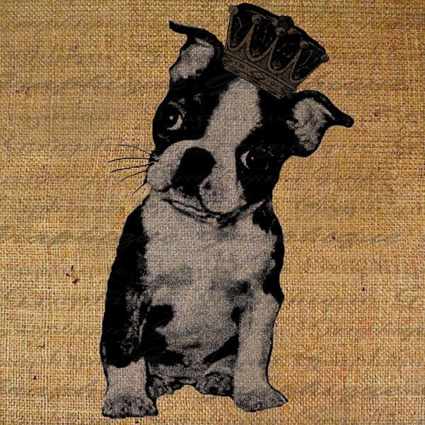 Boston Terrier Puppy Dog Digital Image Download Print Iron On Transfer  Pillows Tote Bags Tea Towels For Burlap Scrapbooking  No. 1243
