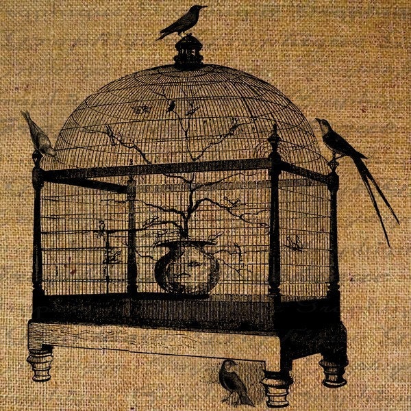 Bird Cage Birds Aviary Digital Image Download To Transfer To Pillows Tote Tea Towels Burlap More No. 1234