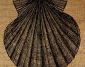 Burlap Digital Download Collage Sheet Beach Ocean Shell Clam Scrapbooking Fabric Transfer Pillows Tote Tea Towels 1731