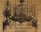 Terrarium Flowers Plants French Address Paris Digital Image Download Sheet Transfer To Pillows Totes Tea Towels Burlap No. 2118