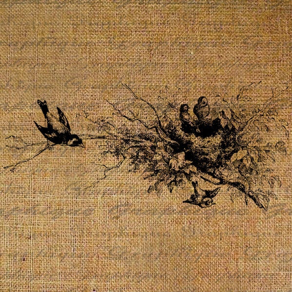Nest Baby Bird Birds Flying Nesting Digital Image Download Transfers To Pillows Totes Tea Towels Burlap No. 3392