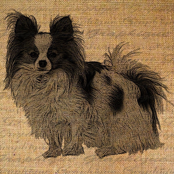 Adorable PAPILLON Dog Series Digital Collage Sheet Download Burlap Fabric Transfer PUPPY Canine Iron On Pillows Totes Tea Towels No. 3441