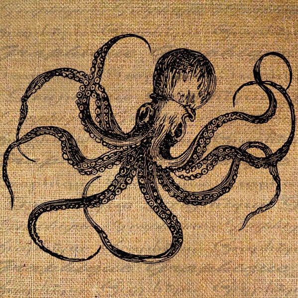 OCTUPUS Sea Creature OCEAN Animals Digital Collage Sheet Download Burlap Fabric Transfer Iron On Pillows Totes Tea Towels No. 4032