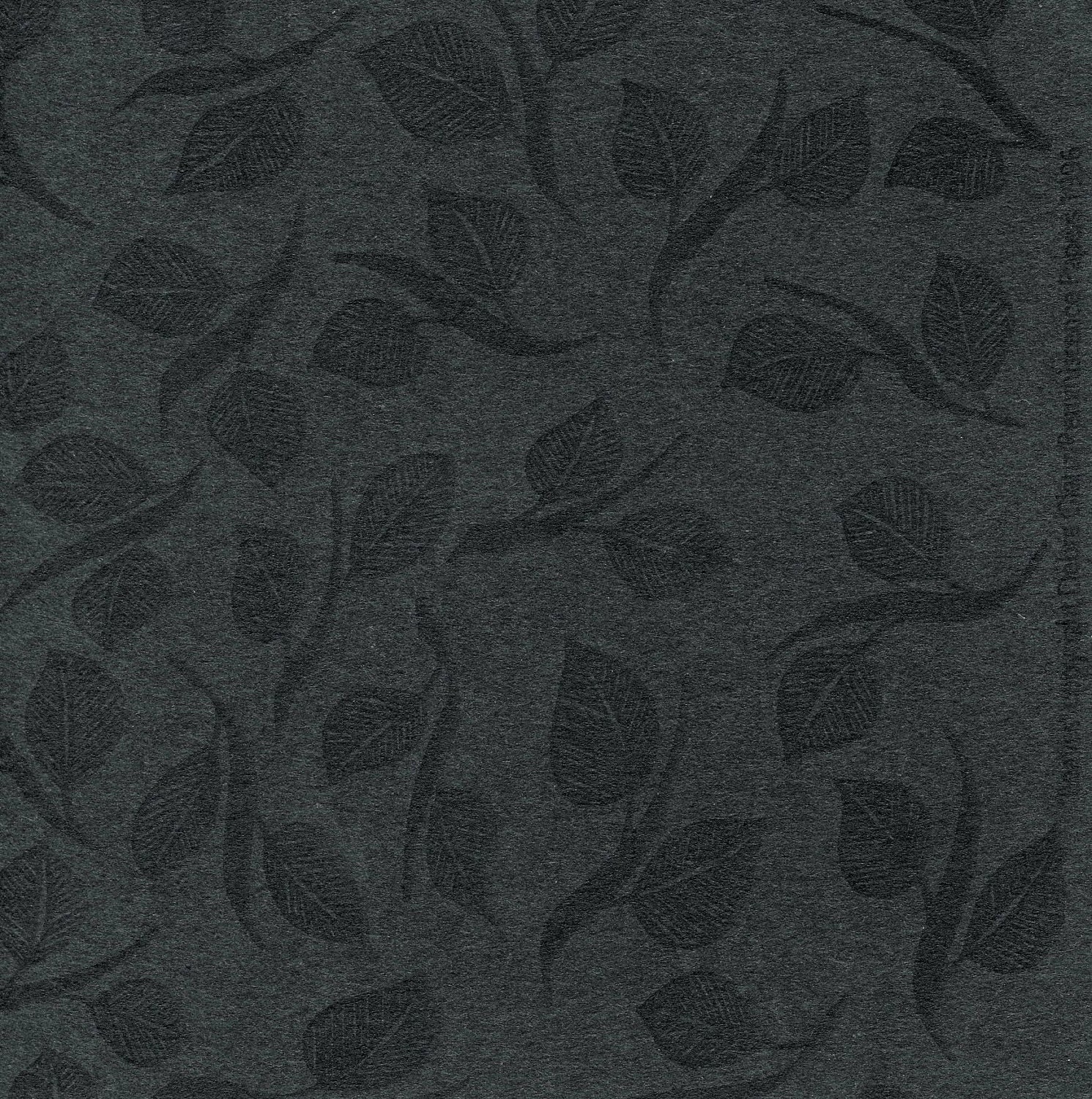 Artist Papers - 18x24 Sheets in "Black Leaves" Design