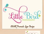 Hand Drawn premade Logo Design  - A Sweet Birdie, Hearts and Swash Text Small Business Photography Photographer Logo OOAK
