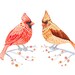 Couple of Cardinals - watercolor birds painting print by Ola Liola, size 10x8. (No. 4)