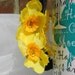 Yellow Orange Flower Claw Clips