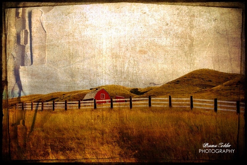Torn  12x18 Fine Art Photo