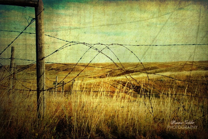 Twisted  12x18 Fine Art Photo