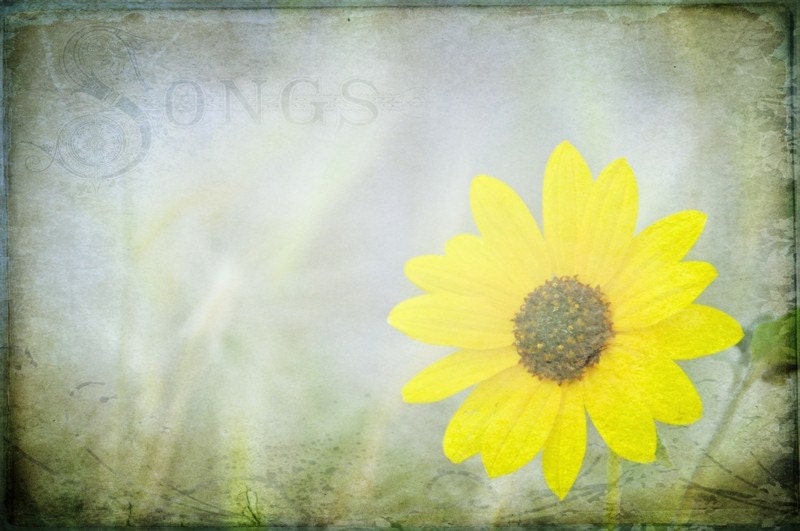 Prairie Songs  12x18 Fine Art Photo