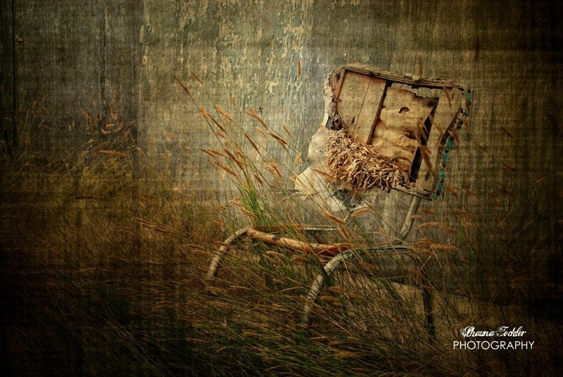 Waiting  4x6 Fine Art Photo