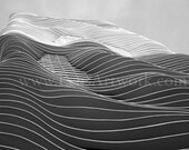 Aqua - giclee fine art print of the Aqua skyscraper in Chicago