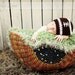 Football Hat: 0-3m, 3-6m, 6-12m - Newborn Baby Boy or Girl Brown & White Striped Crochet Photography Prop -NFL or Team Colors avail