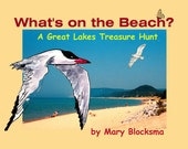 Whats On the Beach   A Great Lakes Treasure Hunt