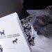 Cats In Costumes - zine / comic booklet
