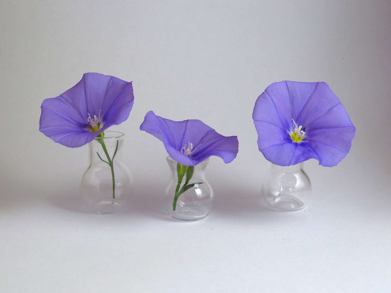reserved for Di - 3 tiny vases