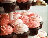 Cupcakey Goodness -  8x8 Fine Art Photograph