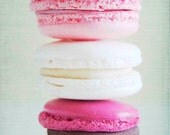 Macaron Dreams - 11x14 Fine Art Photograph, pink macaron,easter, cookie, sweet, blue, paris, patisserie, french
