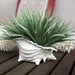 Vintage Ceramic Bright Yellow Conch Shell Planter Vase,  Small