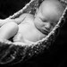 Baby hammock, great photography prop Ready to ship today