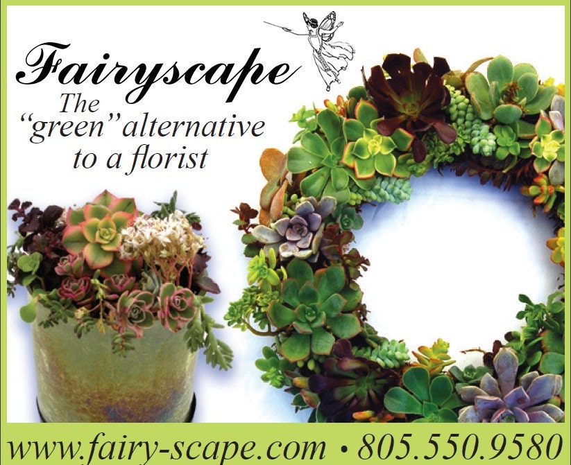 Succulent Wreath Rainbow Garden 14"