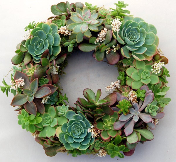 Succulent Wreath Fairy Dance 14"
