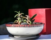 Garden gifts - Ceramic pot for succulent gardens