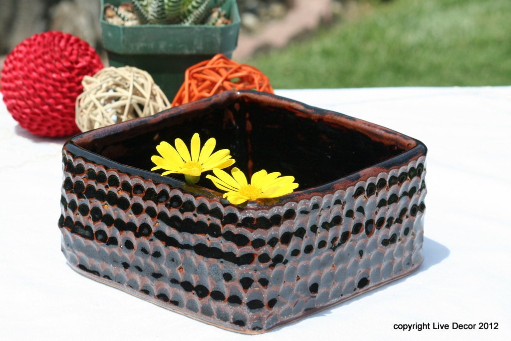 Square cactus pot - snakeskin