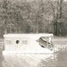 Vintage 1950's Houseboat Photos, Set of 5