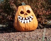 1 package medium glow in the dark buckteeth (12pcs)
