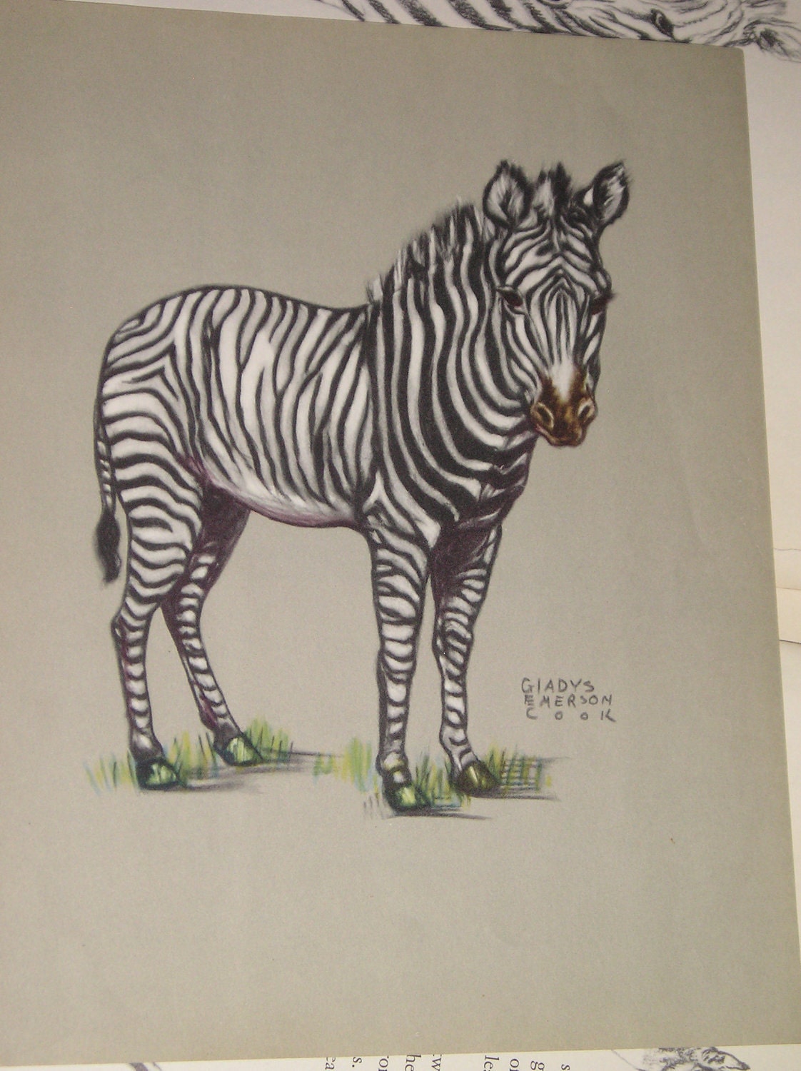 Reserved for Nora . . .Zebra Book Plates by Gladys Emerson Cook from Carlas Vintage Finds