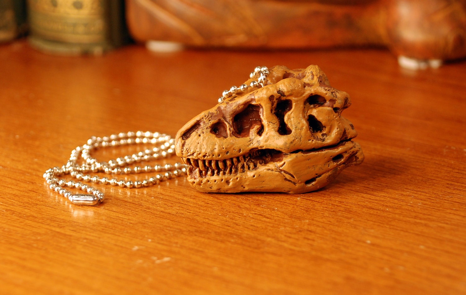 Paleontology Delight - T-Rex Skull - Tyrannosaurus Rex - LAST ONE