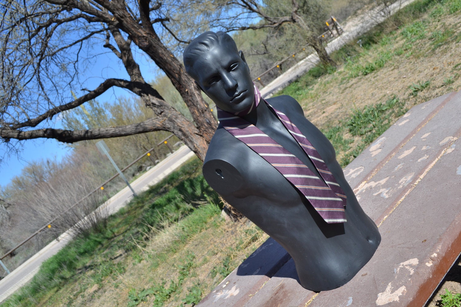 I am too sexy for my tie