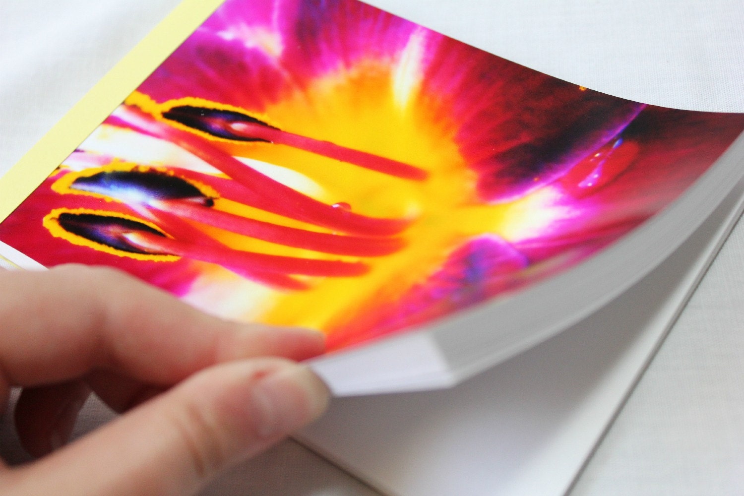 Notebook/Sketchbook/Journal - 4x6 - Ablaze - Original Photograph