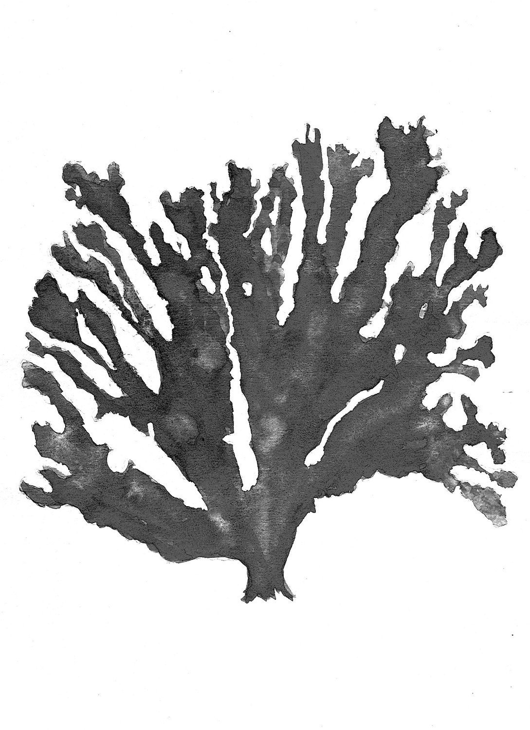 Sea Coral in Charcoal Print