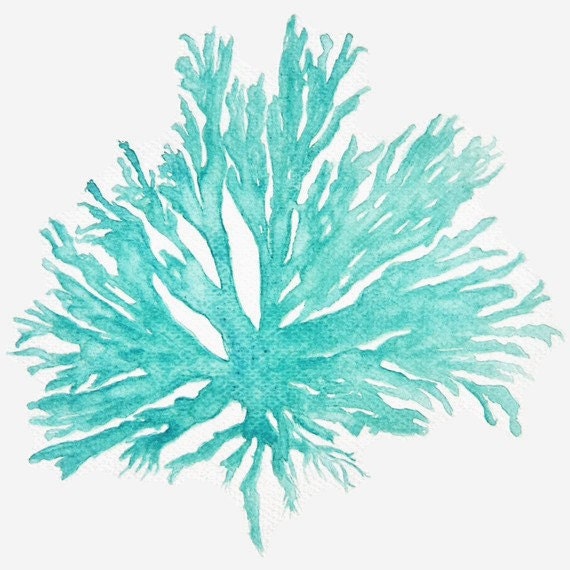 Sea Coral in Turquoise II Print