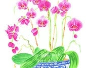 Pink Orchids in Vintage Blue 11x14