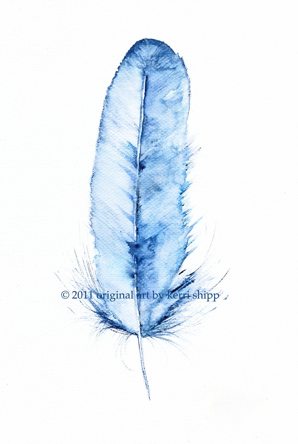 Feather Print 'Kingfisher' 8x10
