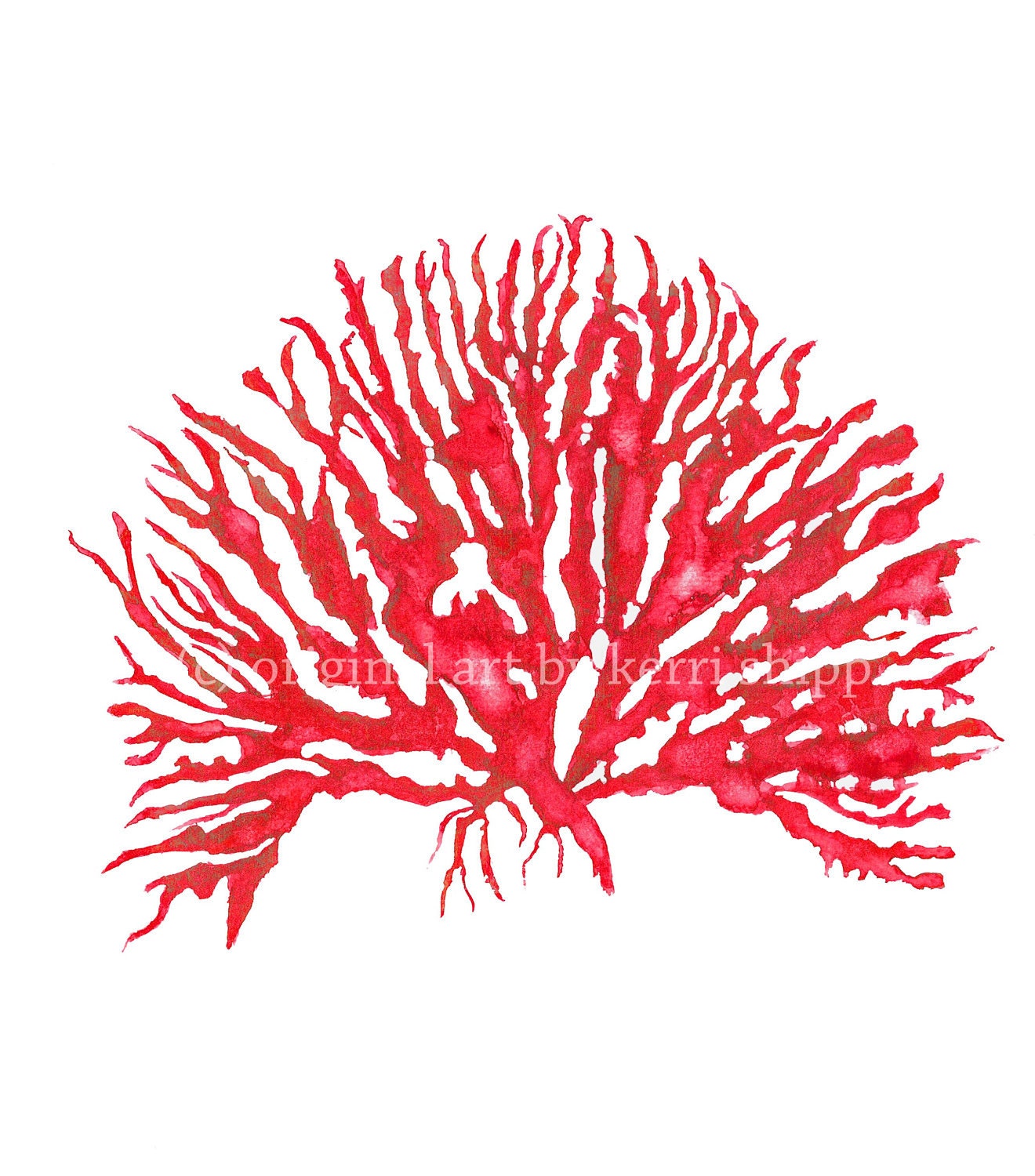 Sea Coral in Ruby Print IV - 11x14