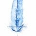 Feather Print 'Kingfisher' 8x10