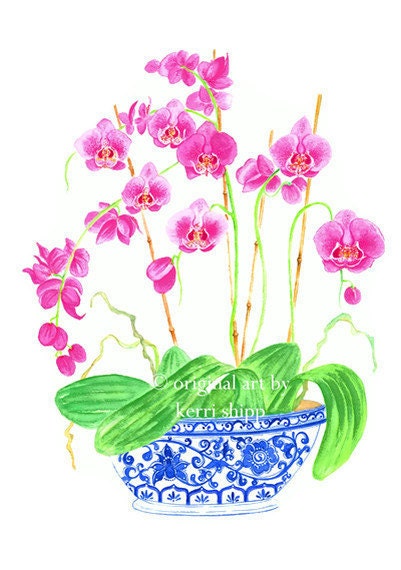 Pink Orchids in Vintage Blue 11x14