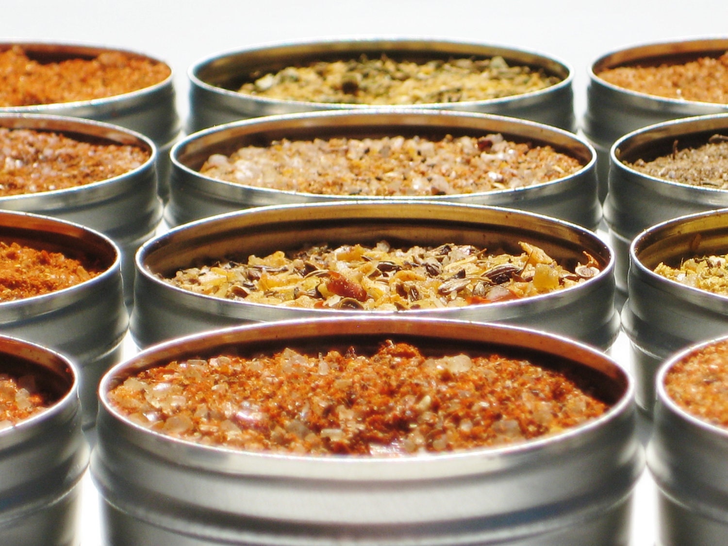 Deluxe BBQ Dry Spice Rub Sampler - 12 gourmet spice blends - burgers, beef, pork, poultry and more - a gift for the grillmaster / foodie