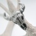 Bat Country Cow Skull Horns Longhorn Ring